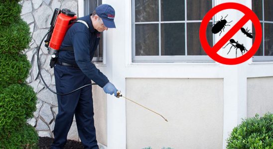 Evka 4 Böcek İlaçlama böcek ilaçlama ve haşere kontrolü — ilaclama-tr.com
